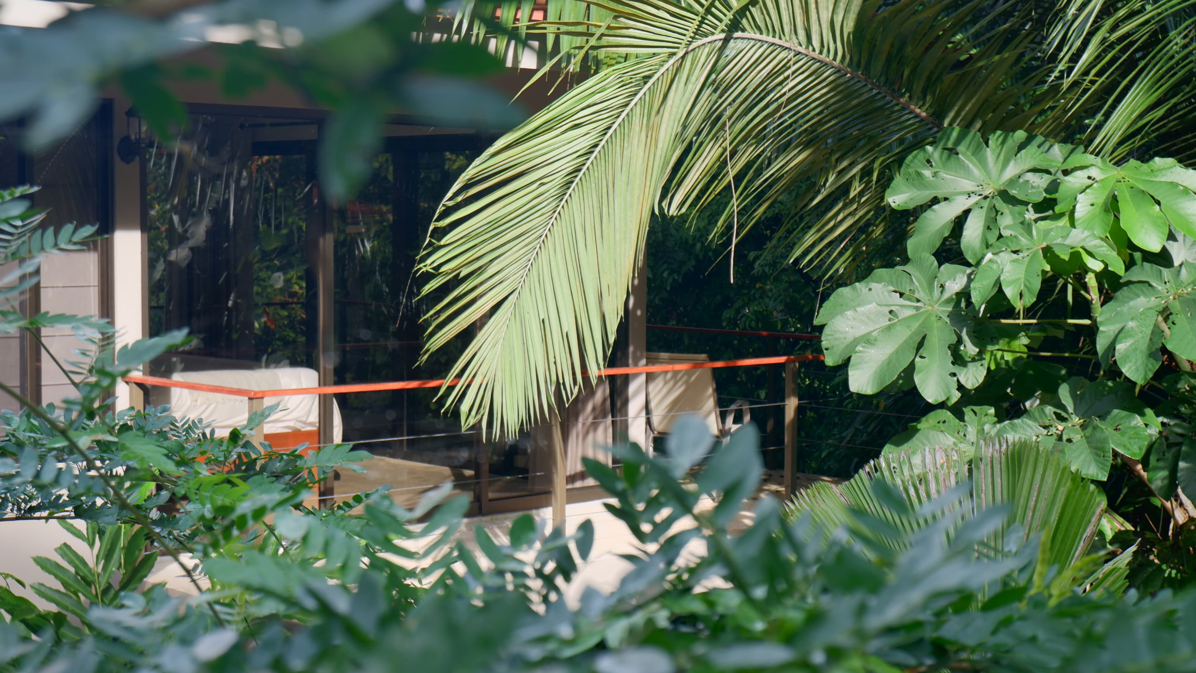 the casitas hidden behind palm fronds in dominicalito